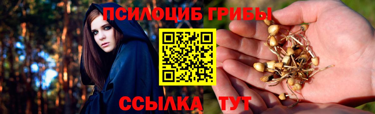 Чехов  Галлюциногенные грибы прущие грибы  Вход с VPN 